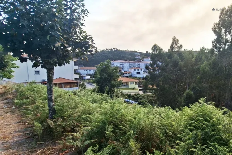 Terrain rural
