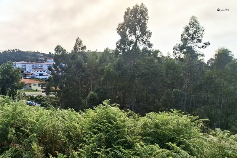 Terrain rural