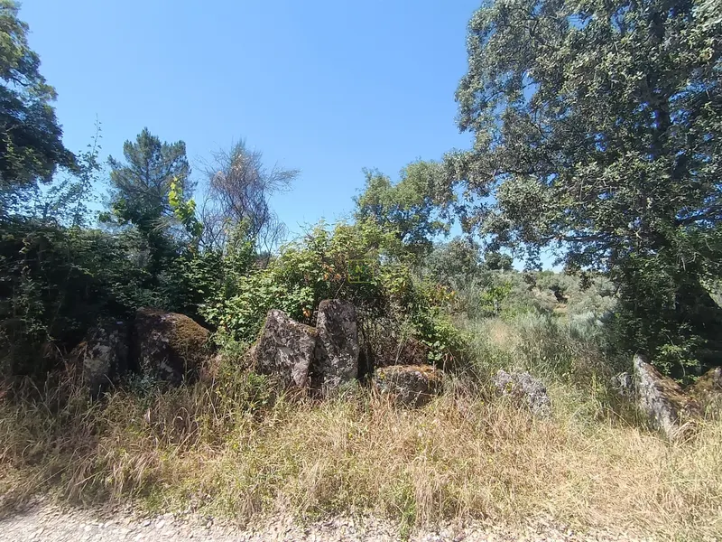 Terrain rustique à águas, Penamacor !