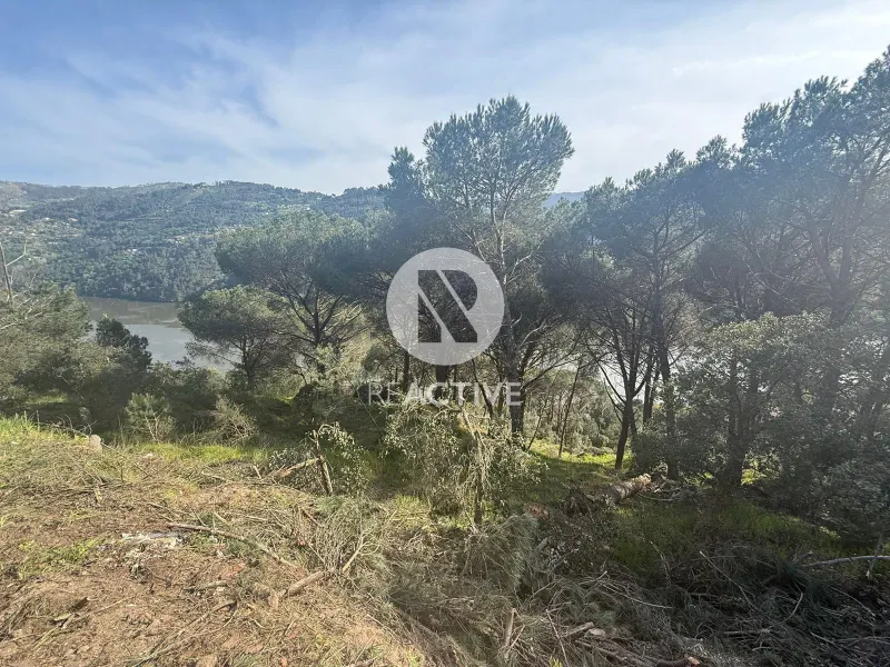 6 Land Plots for Sale – Quinta do Fojo, Baião