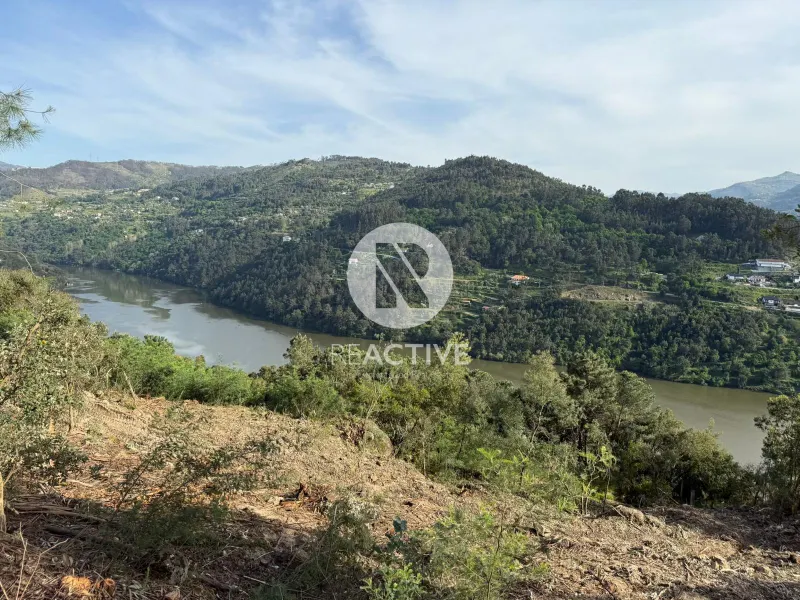 6 Land Plots for Sale – Quinta do Fojo, Baião