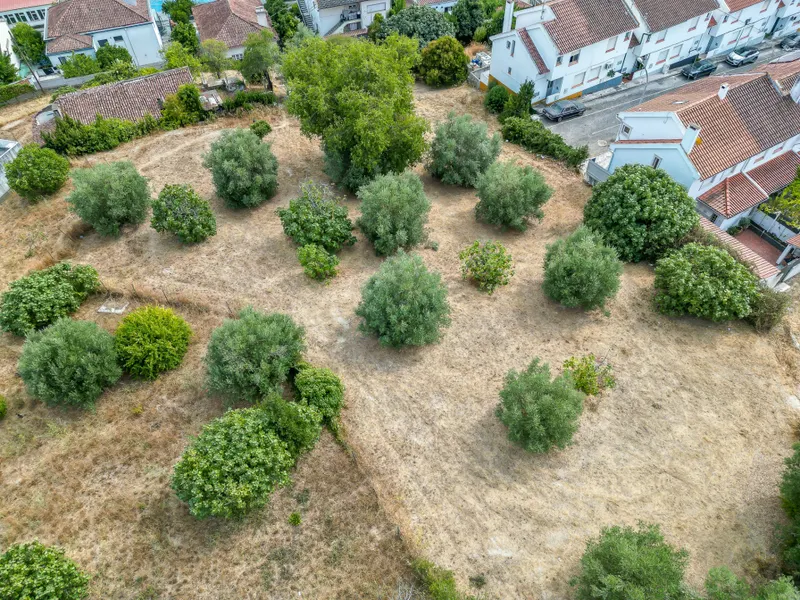 Terreno Urbano para construção em Torres Novas