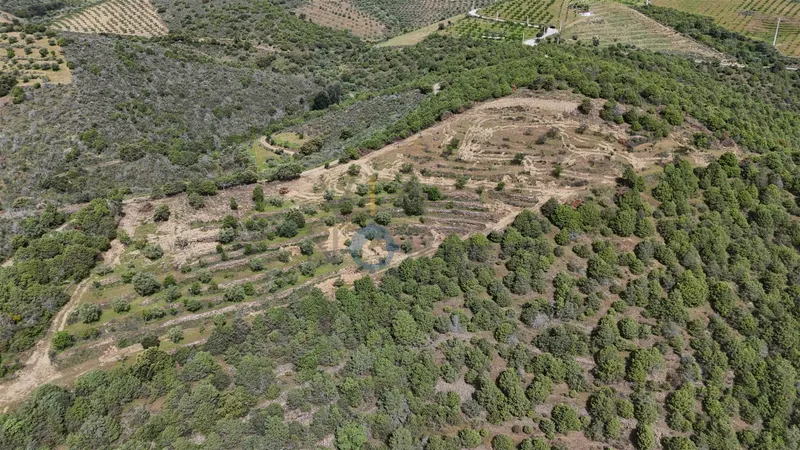 Rustico Terreno