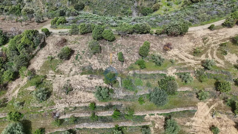Rustico Terreno