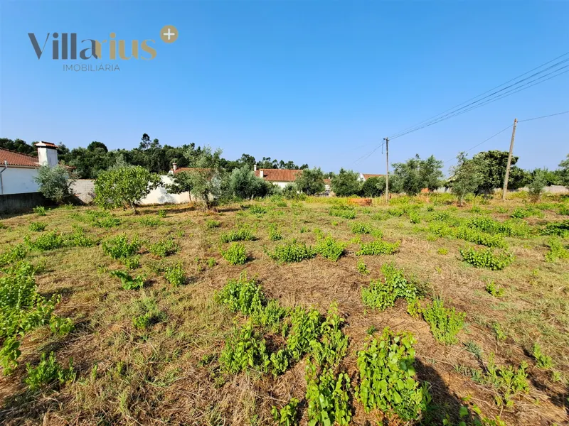 Terreno 11.513 m² com Projeto Aprovado — Tomar