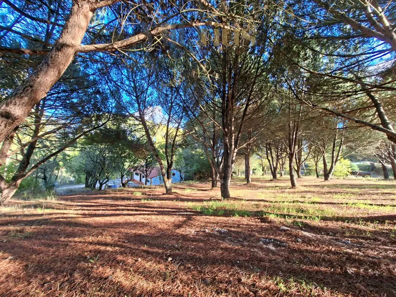Maison d’un étage avec un vaste terrain à 3 min d’Alverangel