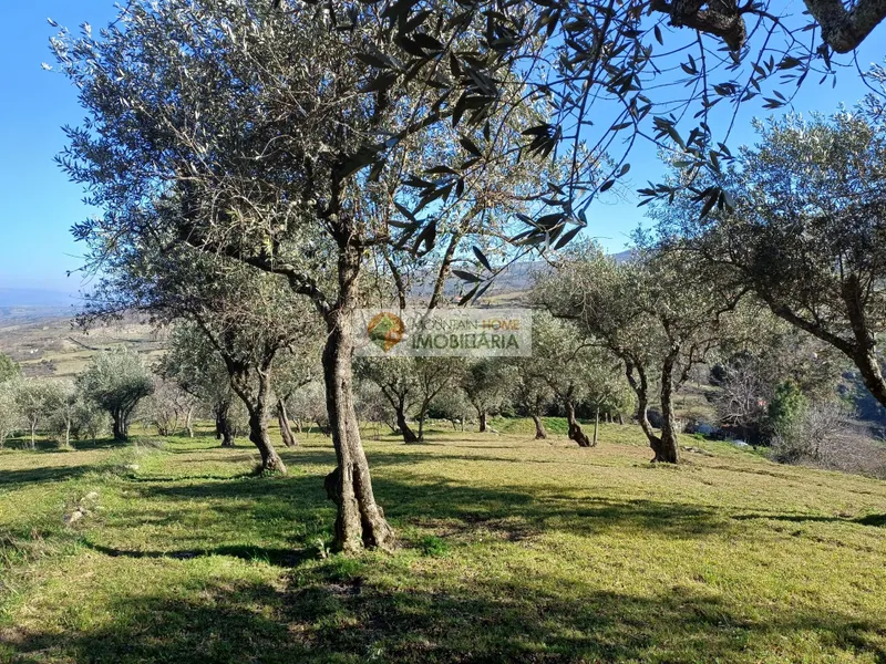 Piccola Fattoria 2 Vani