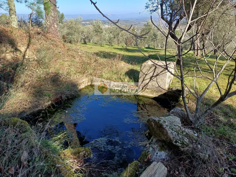 Piccola Fattoria 2 Vani