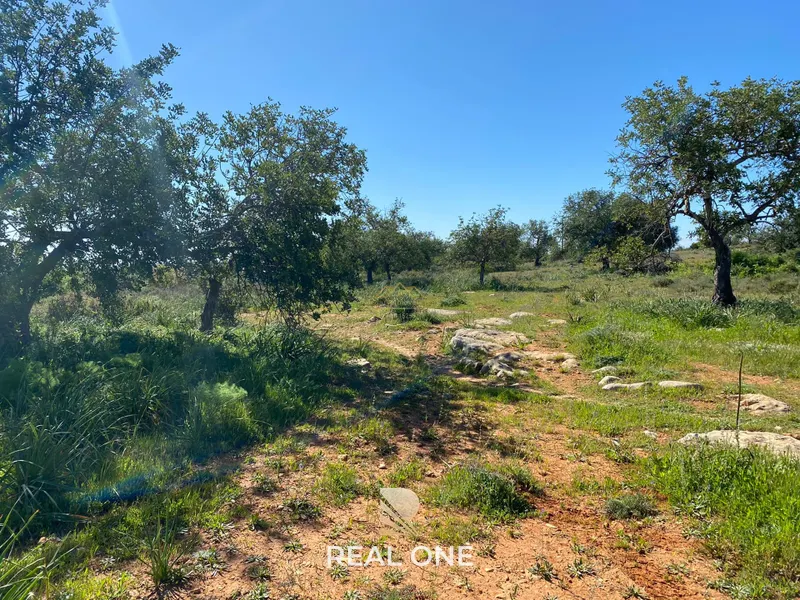 Terreno com 50.260 m2 com ruina de 180 m2