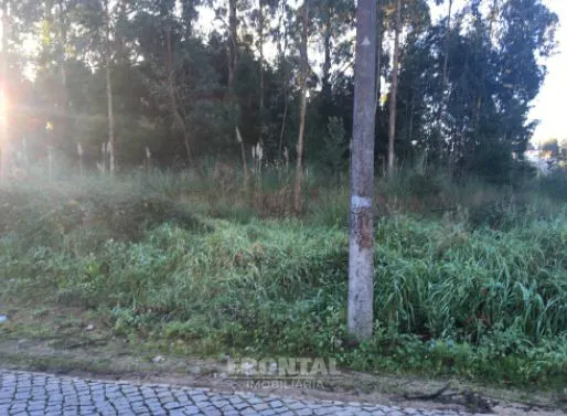 Terreno Rústico 13.400 m² Vikla Nova de Gaia