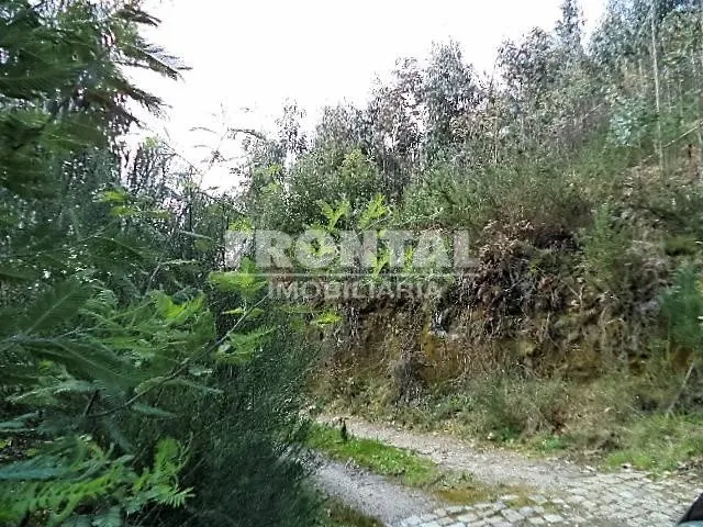 Terrenos em Penafiel