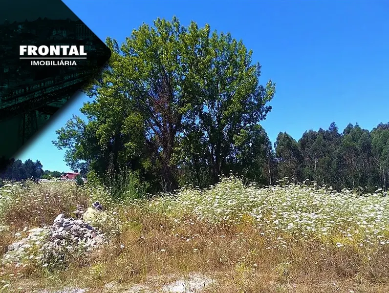 Terreno Para Construção com 2.400 m² - 4 Frentes &#124; Azurara, Vila do Conde