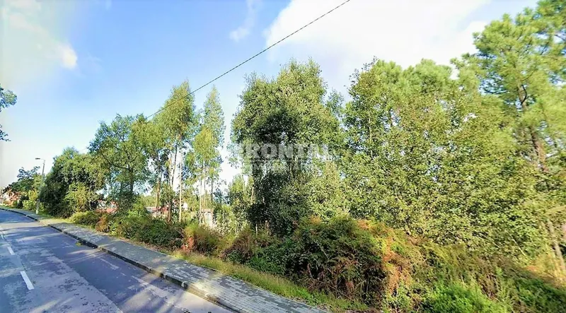 Terreno com 2 900 m2 em Crestuma