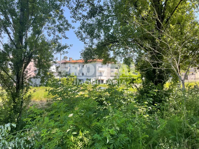 Terreno à venda – Oliveira do Douro