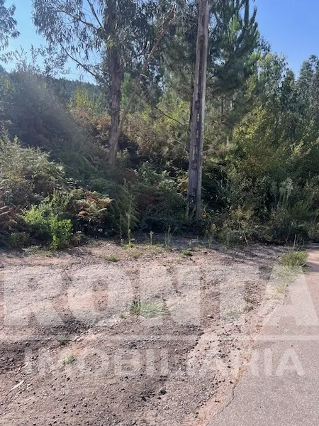 Terreno Industrial em Lordelo / Rebordosa – 25.543 m²