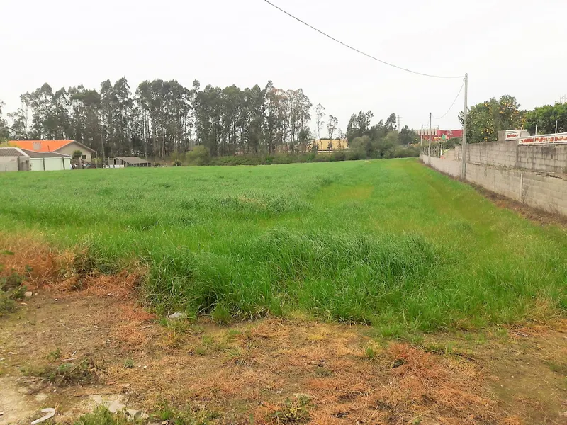 Terreno com viabilidade de construção &#124; Gião, Vila Do Conde