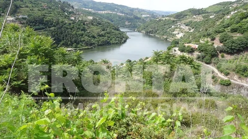 Terreno Único com Potencial Habitacional ou Agrícola &#124; Santa Marinha do Zêzere, Baião