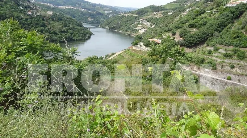 Terreno Único com Potencial Habitacional ou Agrícola &#124; Santa Marinha do Zêzere, Baião