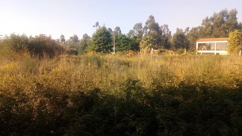Terreno Para Construção
