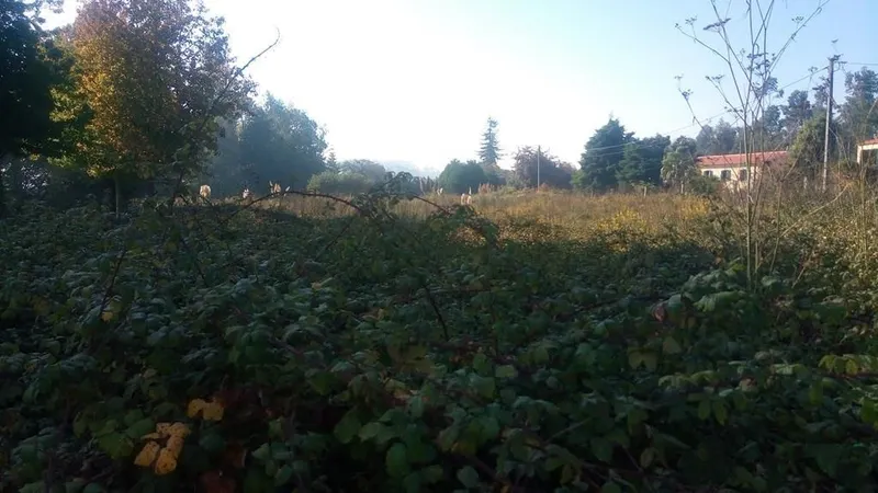 Terreno Para Construção